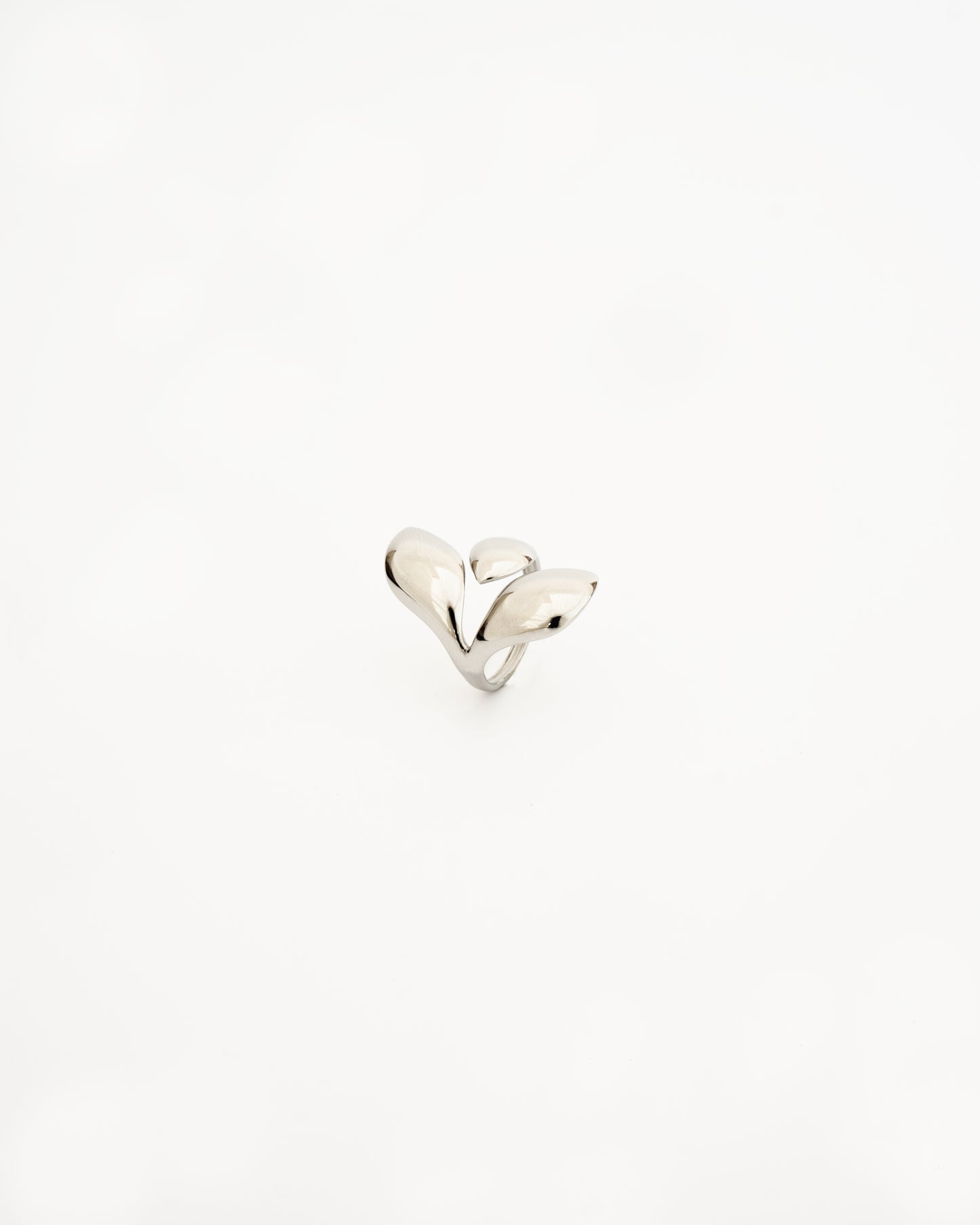 Anillo Balea