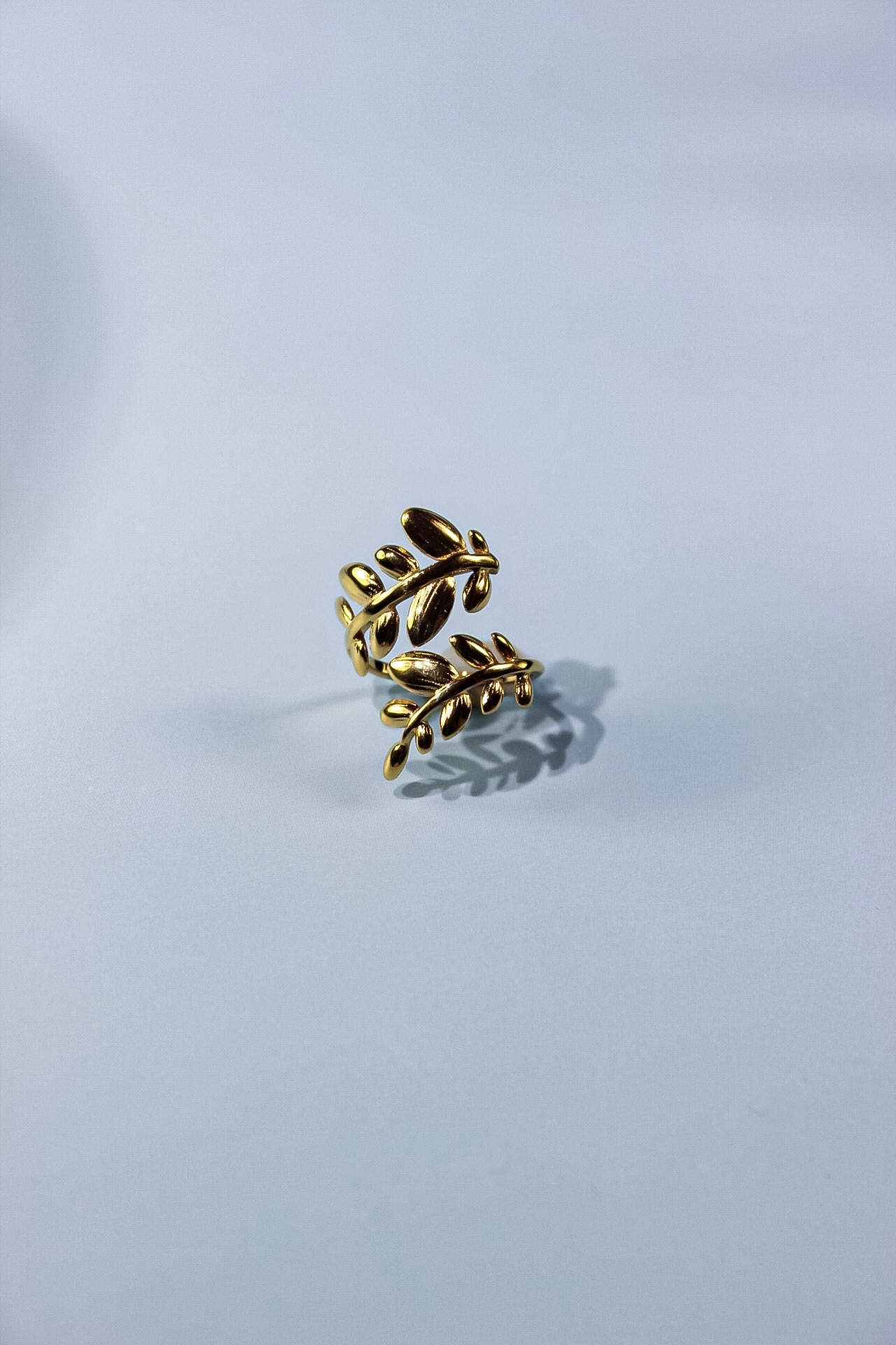 Anillo Gaia. Anillo Lira