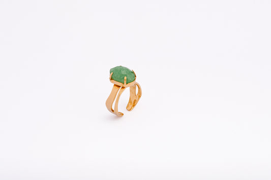 Anillo Terra