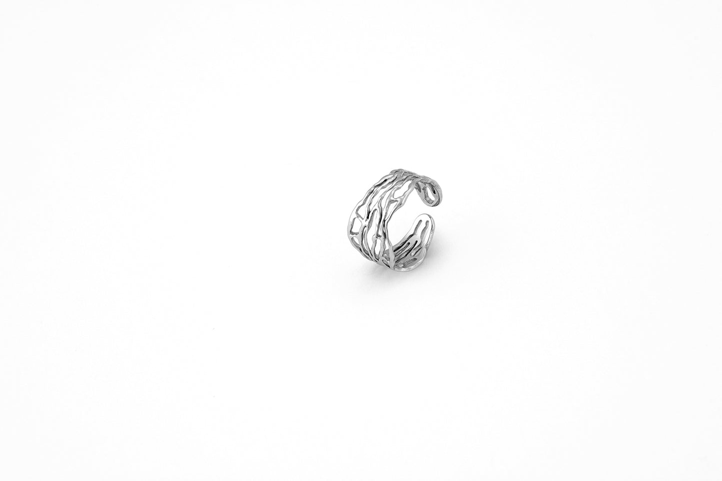 Anillo Raíces