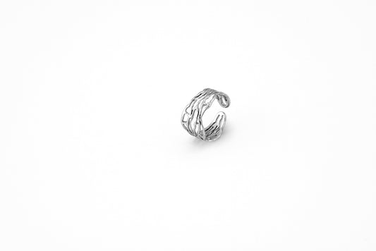 Anillo Raíces