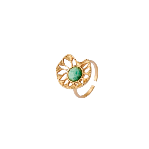 Anillo Cosmos