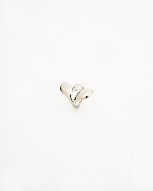 Anillo Balea