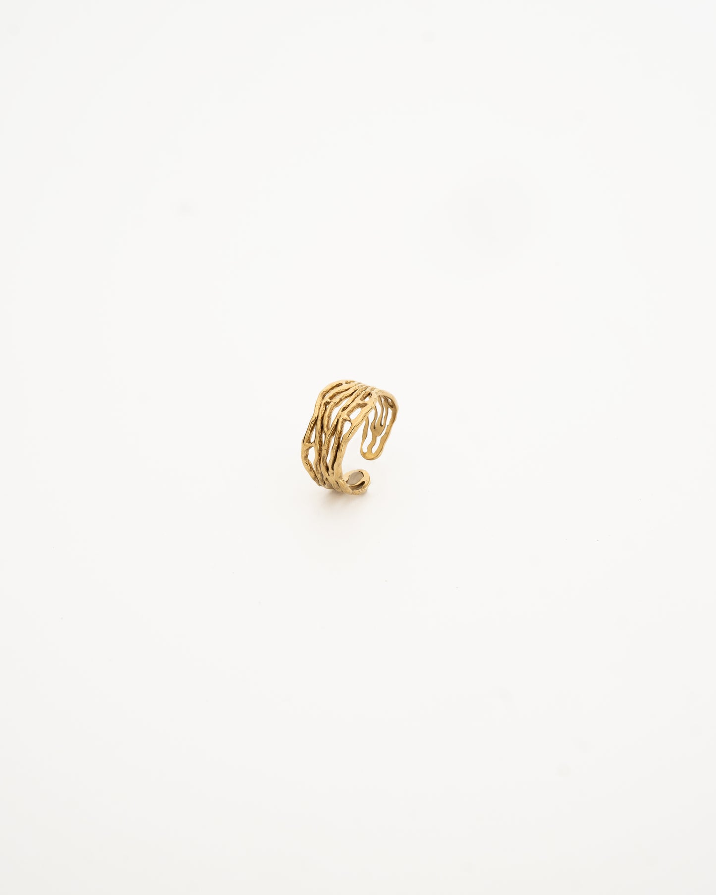 Anillo Raíces