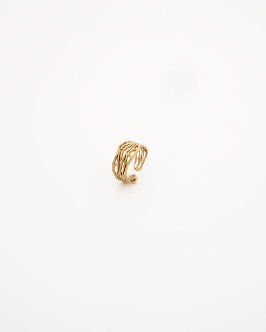 Anillo Raíces