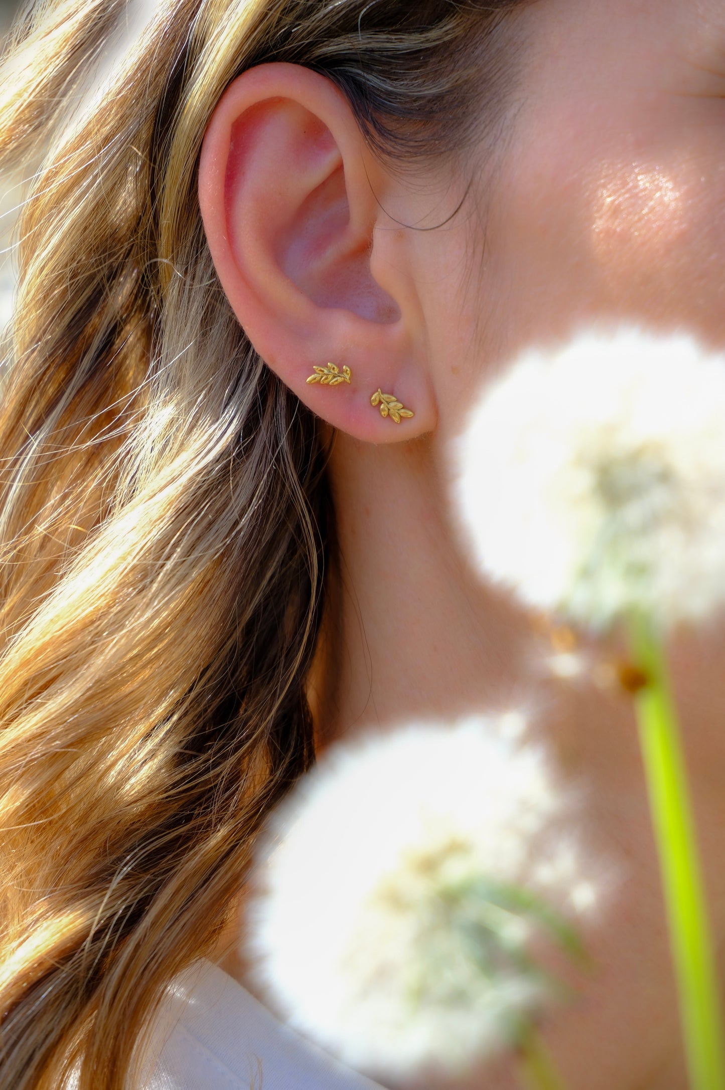 Pendientes Susurro