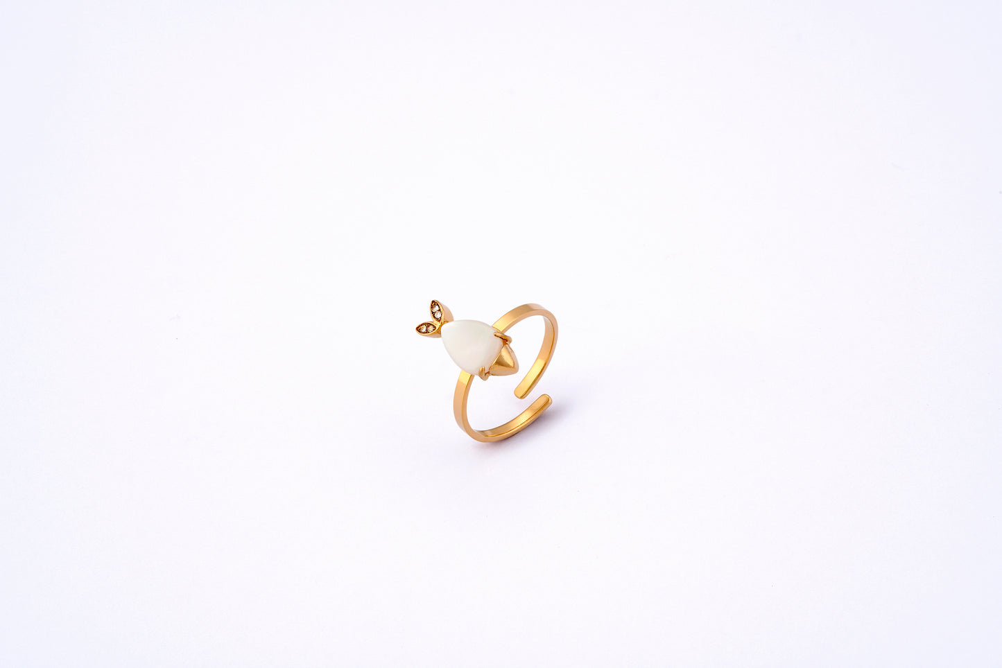Anillo Cauda