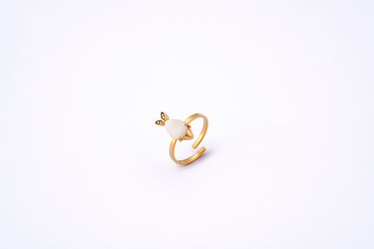 Anillo Cauda