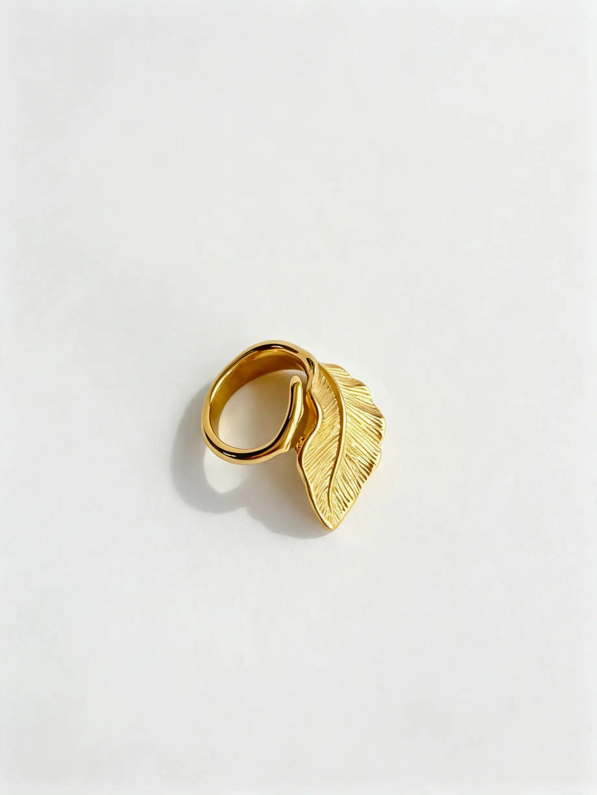 Anillo Caruma