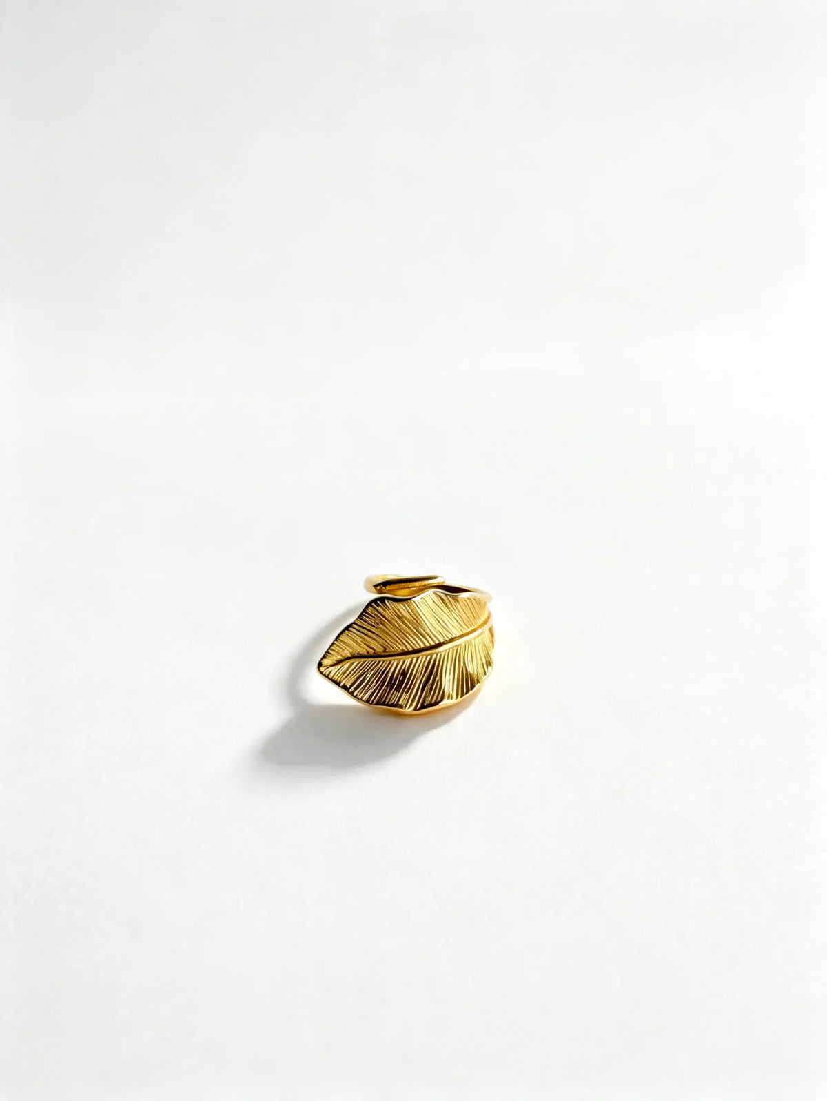 Anillo Caruma