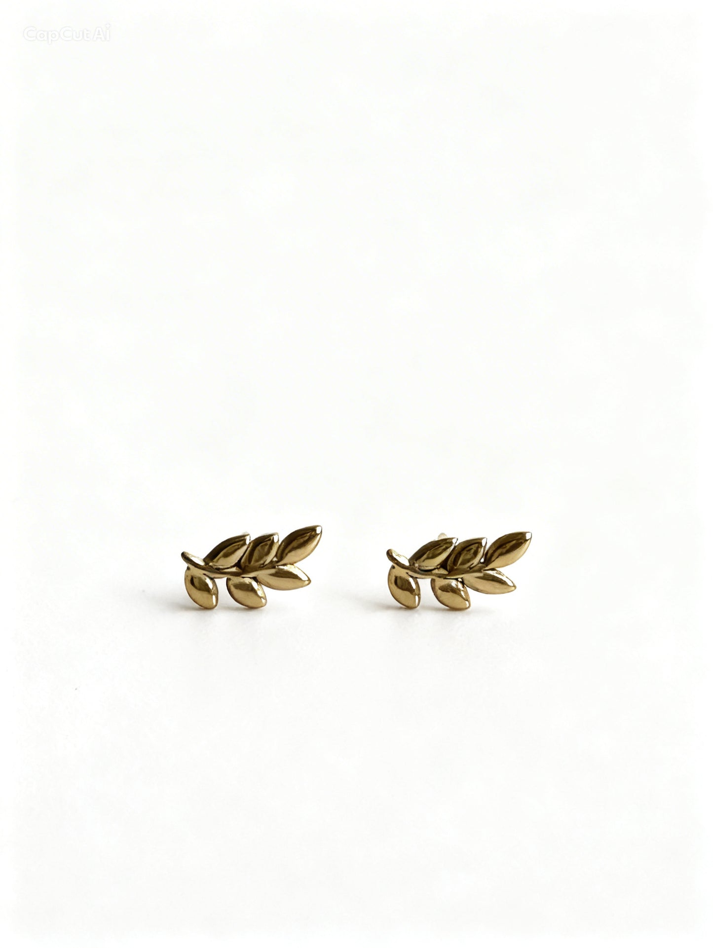 Pendientes Susurro
