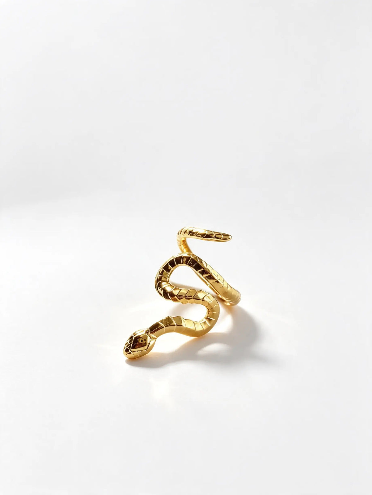 Anillo A Serpe